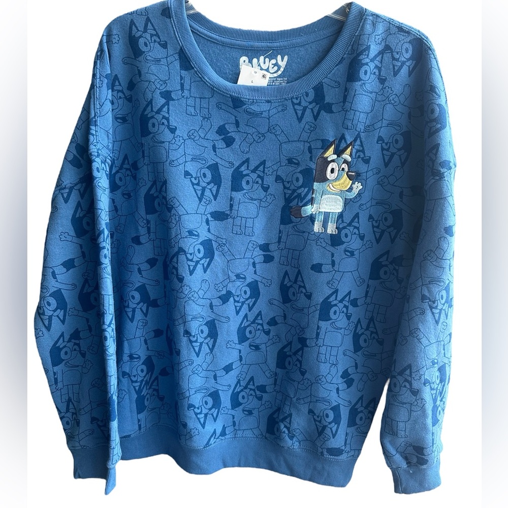Women’s  Bluey Graphic Sweatshirt- Large